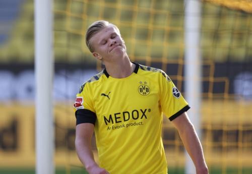 着高昂的斗 着高昂的斗