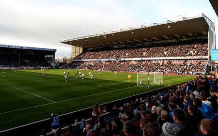 她成为众多 她成为众多